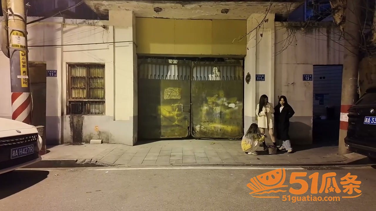 丰满小姐姐 城中村扫相关图片2
